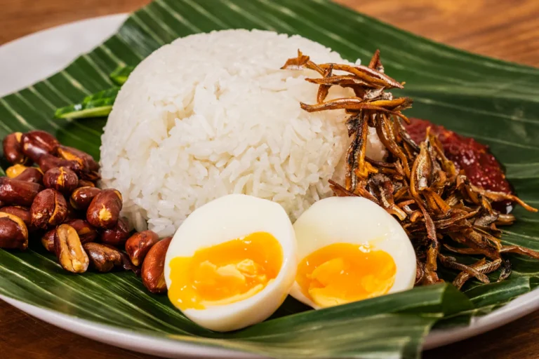 20231116072724-c2-a9andy_cooks_thumbnails_nasi_lemak_01