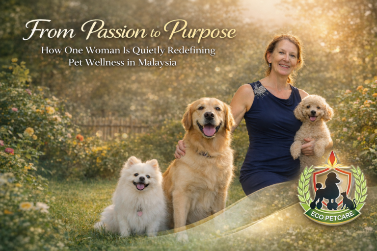 ChatGPT Image Jan 26, 2026, 04_48_43 PM